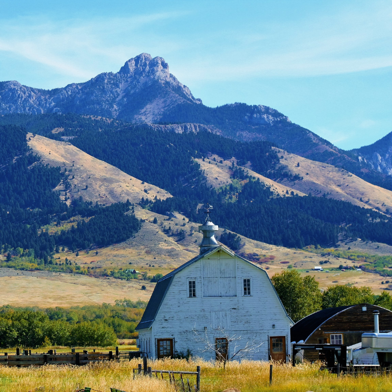 Farm in Bozeman