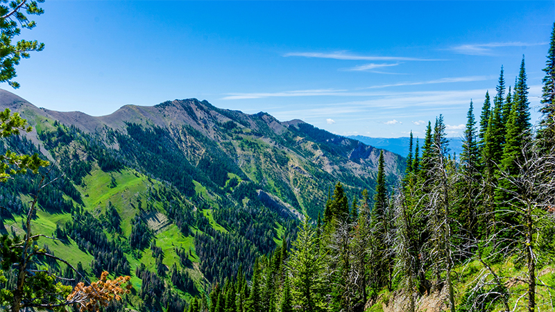 View of green hills in Bozeman, Montana