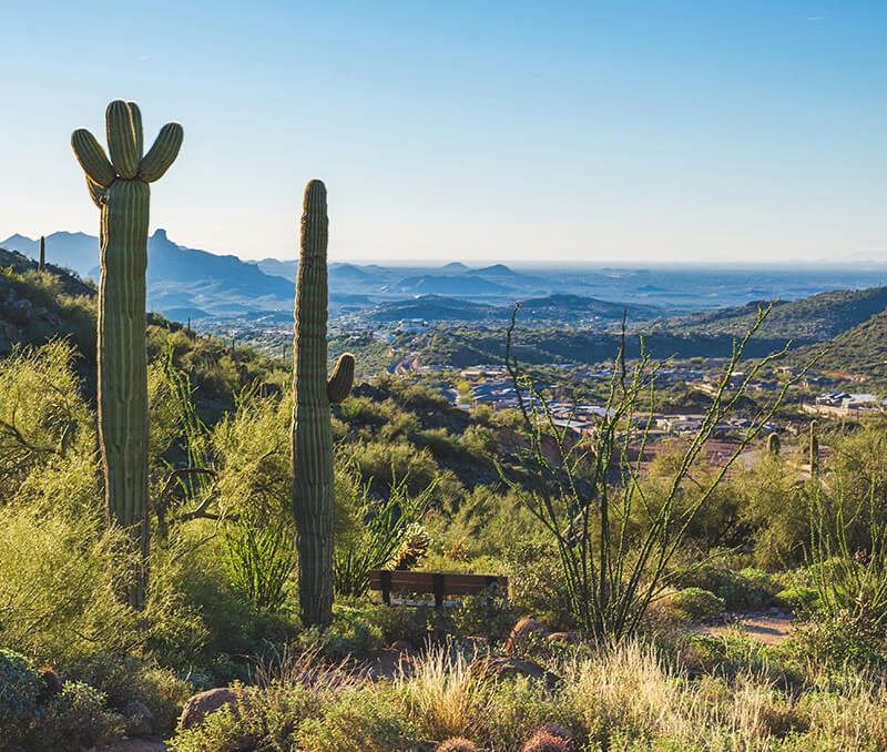 View of nature in Scottsdale, Arizona